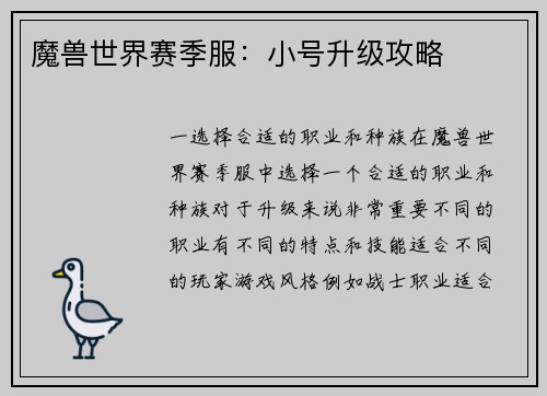 魔兽世界赛季服：小号升级攻略
